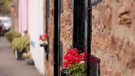 red geraniums adorn a stone wall