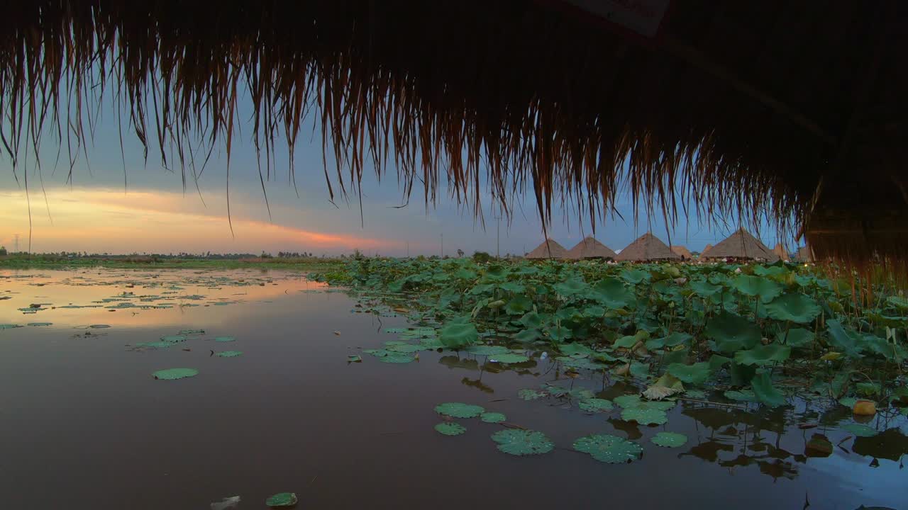 el atardecer en el lago de las flores de loto que florecen en siem reap, cambodia