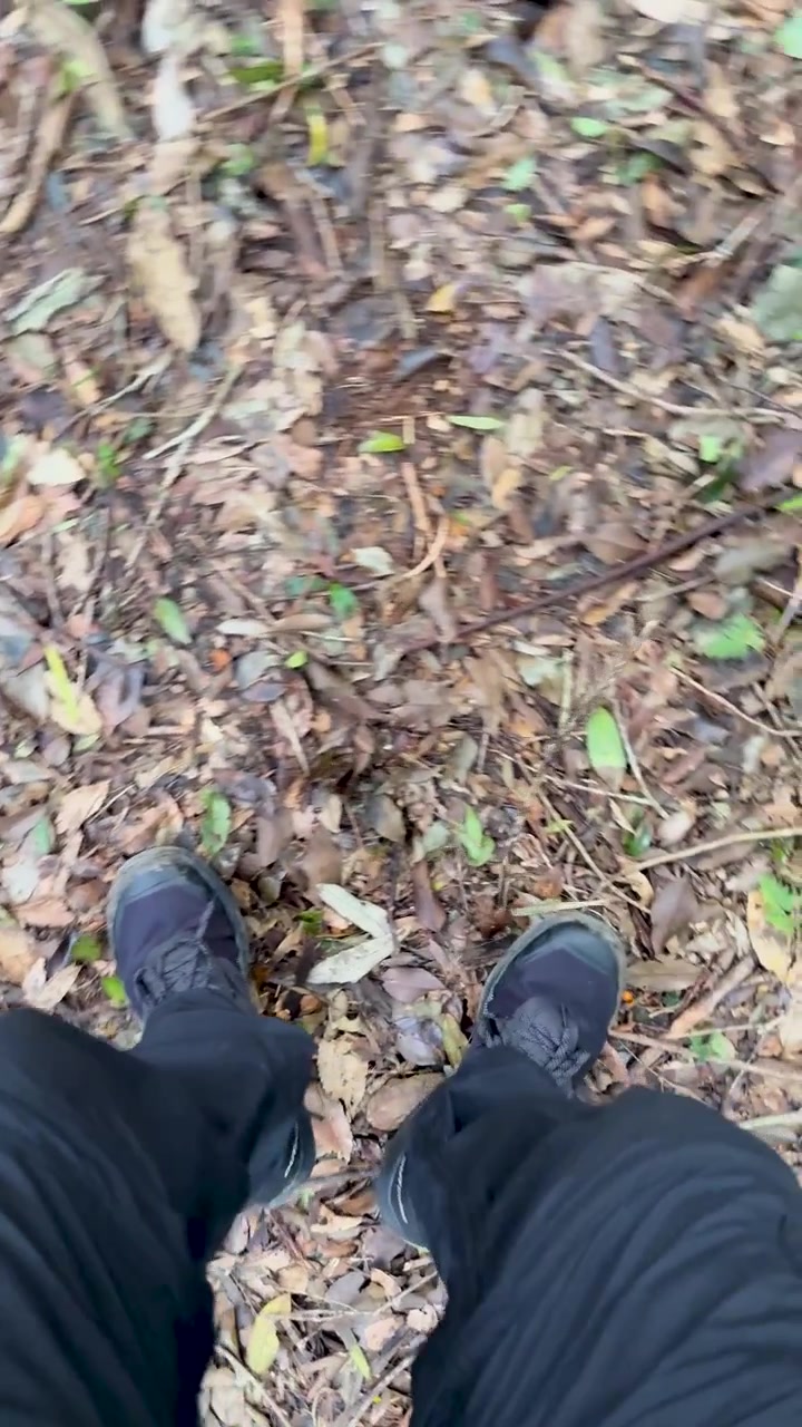 Person in black pants and shoes turns on leafy rainforest ground, handheld camera, natural daylight