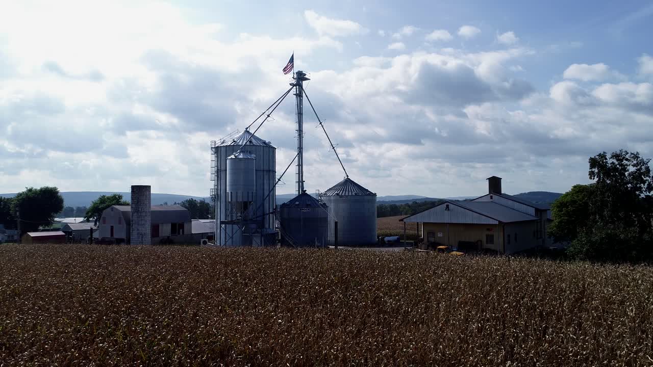 Kamera udara menaik dengan pemandangan ladang jagung dan silo gandum dengan bendera Amerika di puncaknya