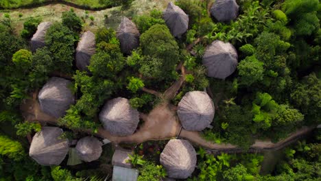 Complejo-Hotelero-De-Bungalows-Con-Techo-De-Paja-En-Medio-De-Una-Exuberante-Selva-Al-Amanecer