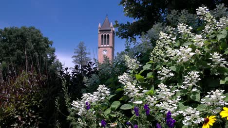 campanile de la universidad estatal de iowa en ames, iowa con vista a través de los árboles video estable de cerca