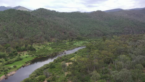 aerial view of lush green river valley in remote area of victoria, aus