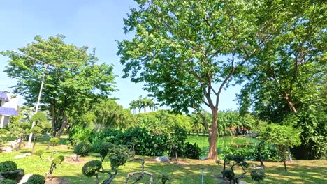 lush greenery and clear skies in bangkok\'s rama ix park, captured with vibrant colors and natural lighting