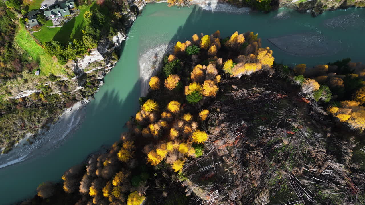 Fallen trees in colorful New Zealand's nature, aerial top down view
