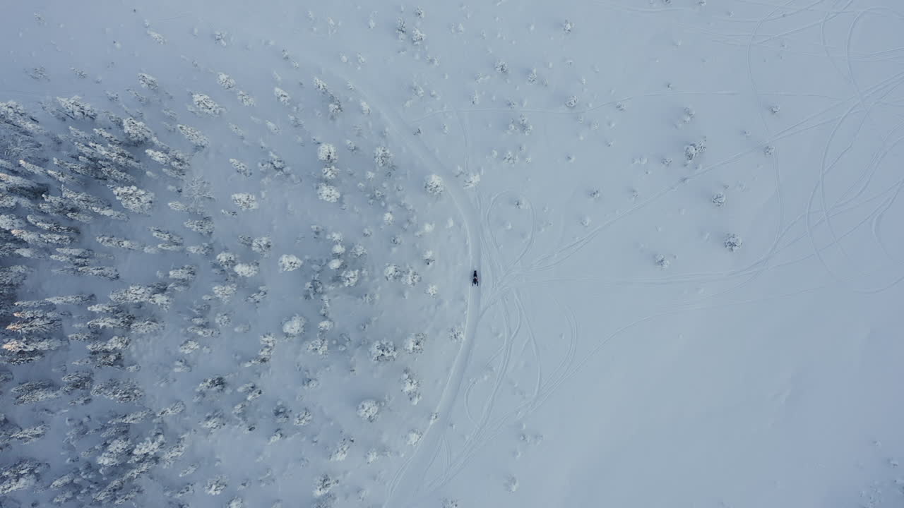 드론 탑뷰 샷은 스웨덴의 추운 겨울 동안 울창한 눈 덮인 숲에서 큰 회전을 하는 설상차를 따라갑니다.