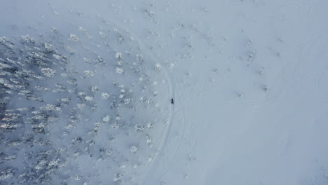 Drone-top-view-shot-follows-a-snowmobile-taking-a-big-turn-in-a-dense-snowy-forest-during-a-cold-winter-season-in-Sweden