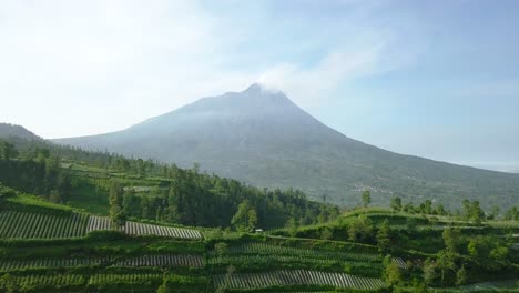 drone flight over the terraced broccoli cabbage potato and green onion plantations on the mountains in java indonesia with the merapi volcano in the background