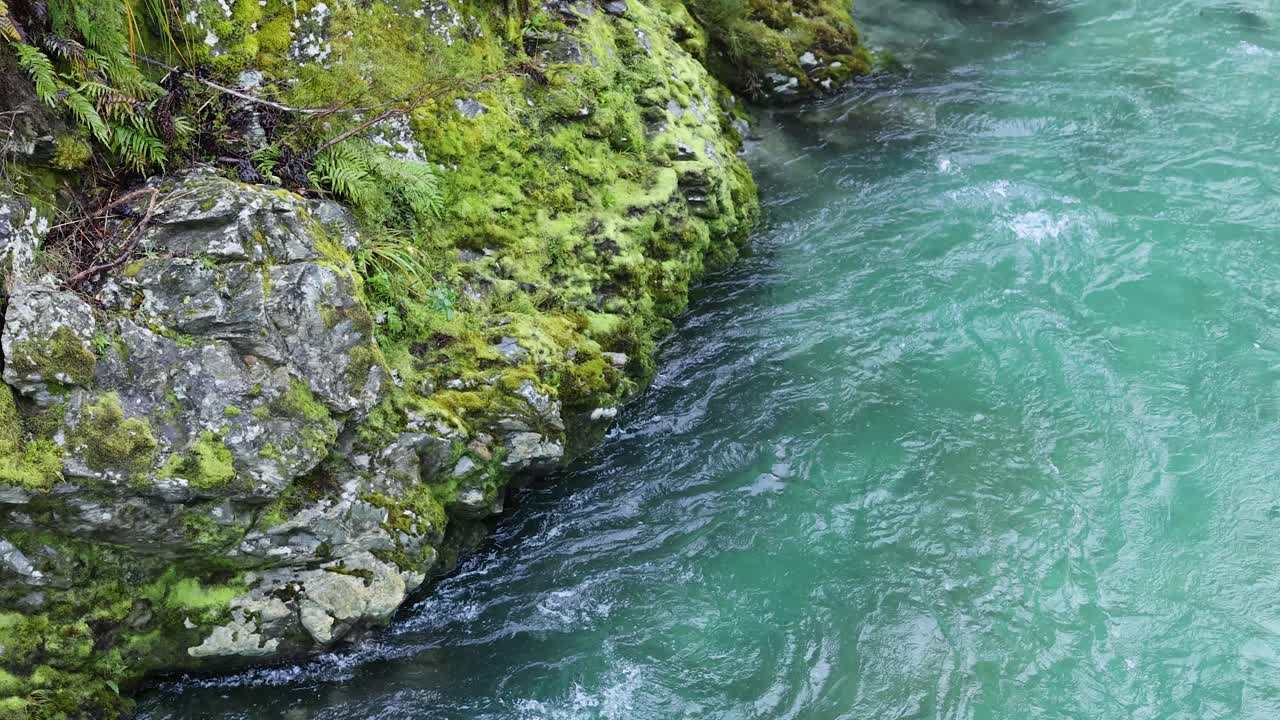 Clear turquoise water rushes past moss-covered rocks in a lush rainforest setting. Natural daylight, steady camera, and vibrant greenery create a tranquil mood