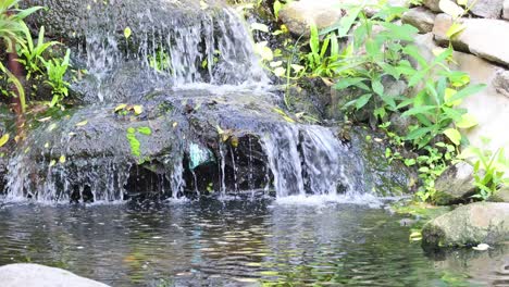 cascada serena que fluye sobre las rocas en el estanque