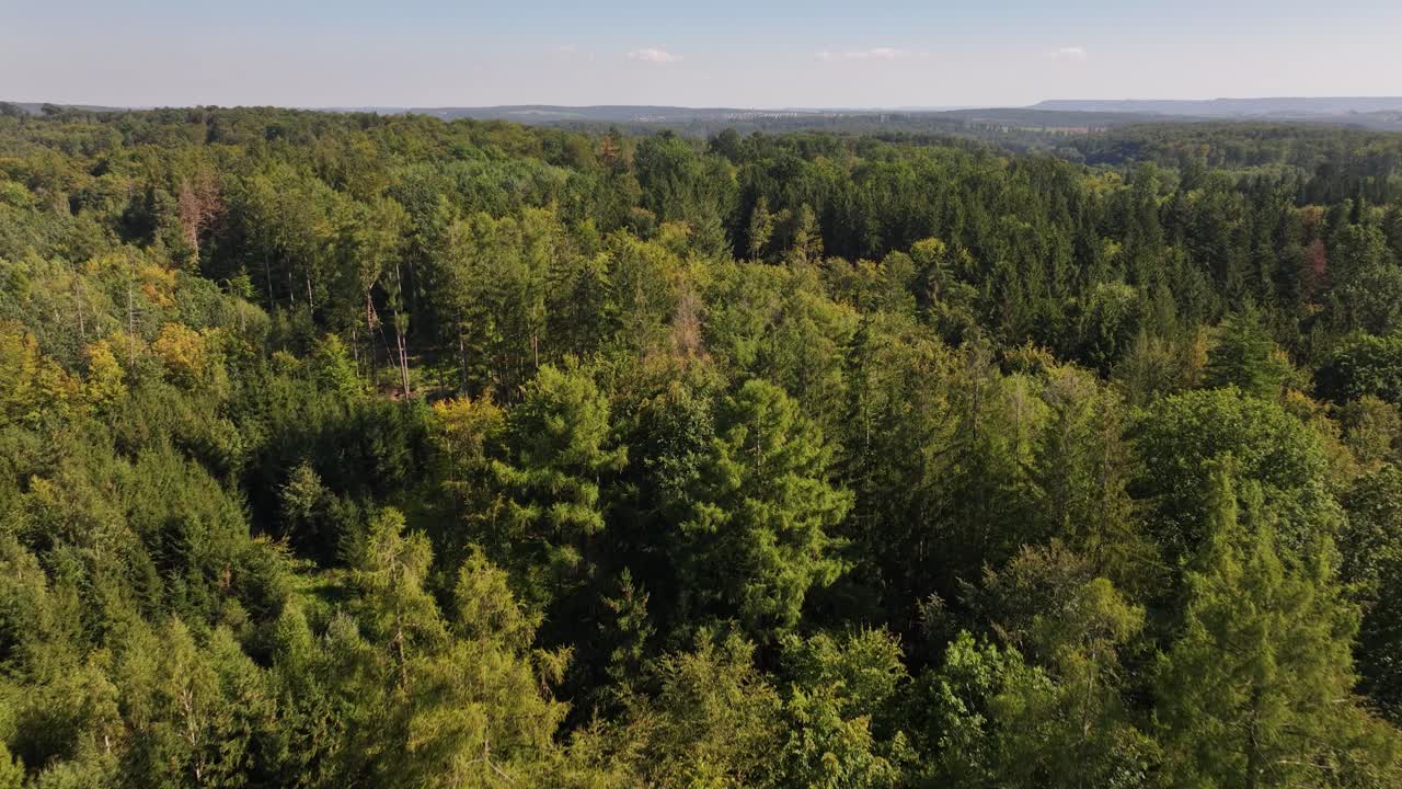 Ripresa aerea di una foresta europea verde e fitta.