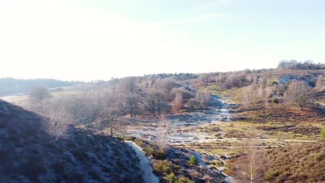 Drone-shot-through-dead-branches-looking-over-a-sunny-nature-national-park