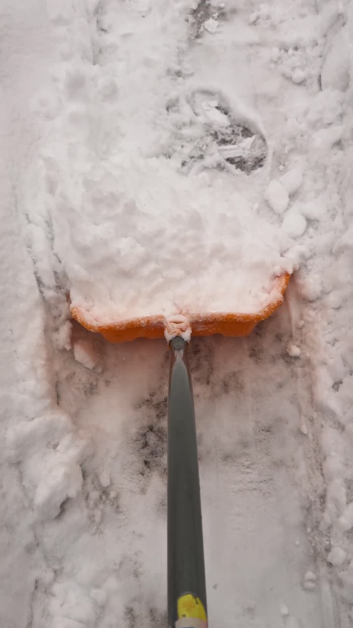 POV snow shovel clears fresh snow from a residential walkway down to the sidewalk, revealing icy pavement in vertical format, steady forward push