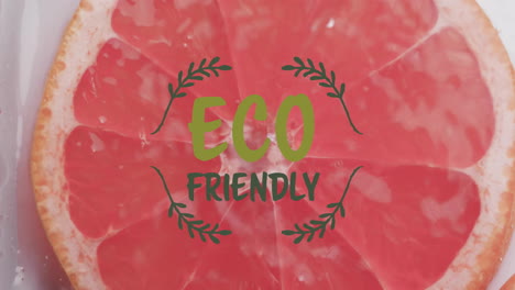 animación de texto ecológico sobre frutas que caen en el fondo del agua