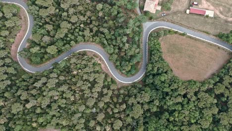 Draufsicht-Zoom-Auf-Eine-Kurvenreiche-Asphaltstraße,-Die-Einen-Wald-Mit-Einem-Kleinen-Bauernhof-An-Der-Seite-Durchquert