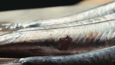 close-up of raw anchovies