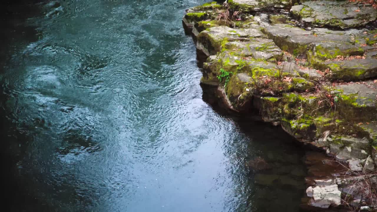 루이스 강에 있는 나무의 모호한 반사, 블루 아워, 정적 샷