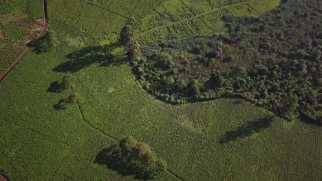 Fort-Portal,-Uganda