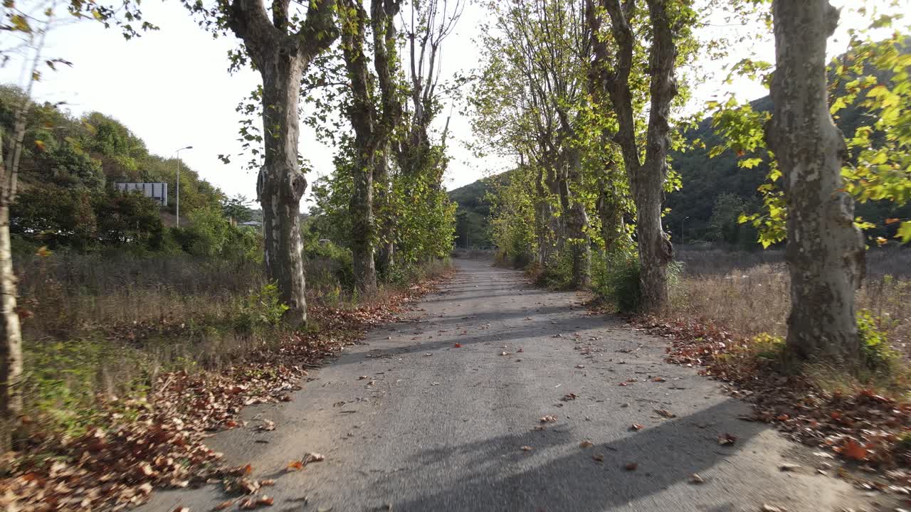 Autumn Road Covered With Trees On Both Sides