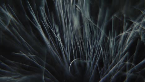 macro shot of a windscreen of a shotgun microphone, furry cover close up, camera gear, sound record equipment, slow motion 120 fps, full hd, tilt up smooth movement