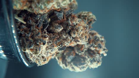 una macro vertical de primer plano crujiente de una planta de cannabis, flor de marihuana, cepas híbridas, indica y sativa, en un soporte giratorio 360 en un cuenco brillante, 120 fps cámara lenta full hd, iluminación de estudio