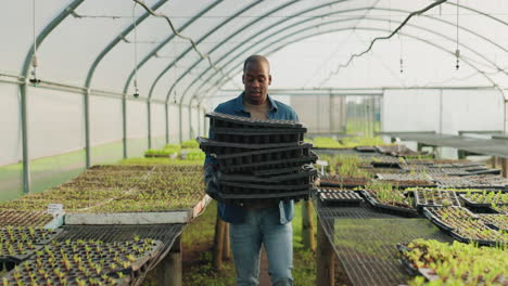 Farm,-growth-and-a-black-man-in-a-greenhouse