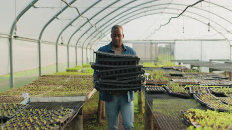 farm, growth and a black man in a greenhouse