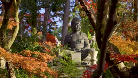 incredible slow motion scenery of buddha statue in japan behind autumn colors