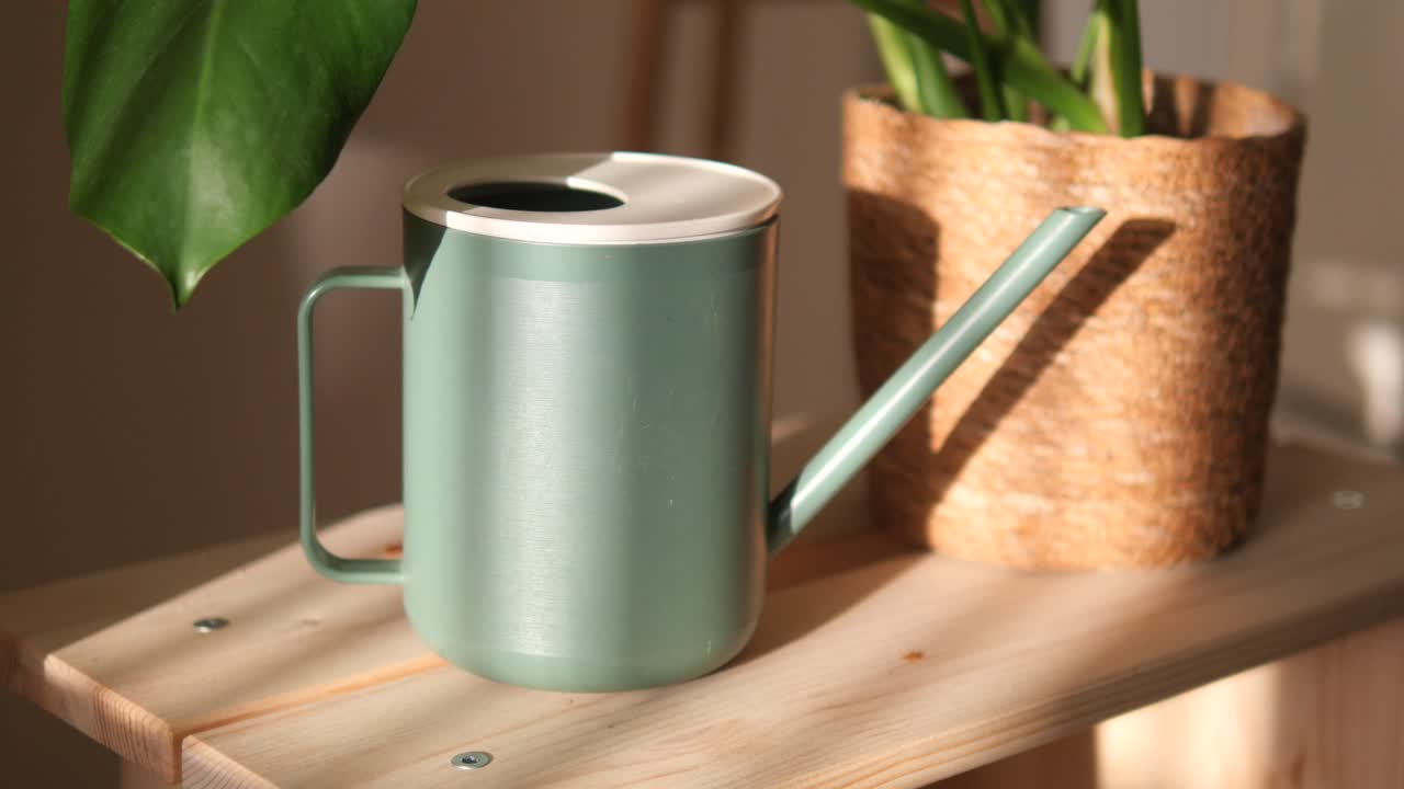 Watering Can and Plant on Wooden Surface