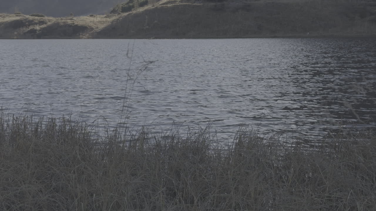 спокойный ландшафт на берегу озера