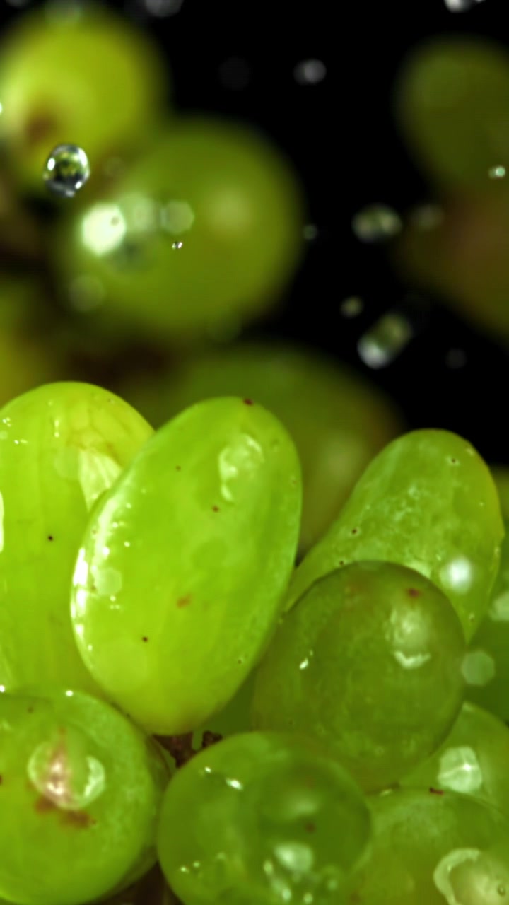 Uvas Verdes Frescas com Gotas de Água em Fundo Preto