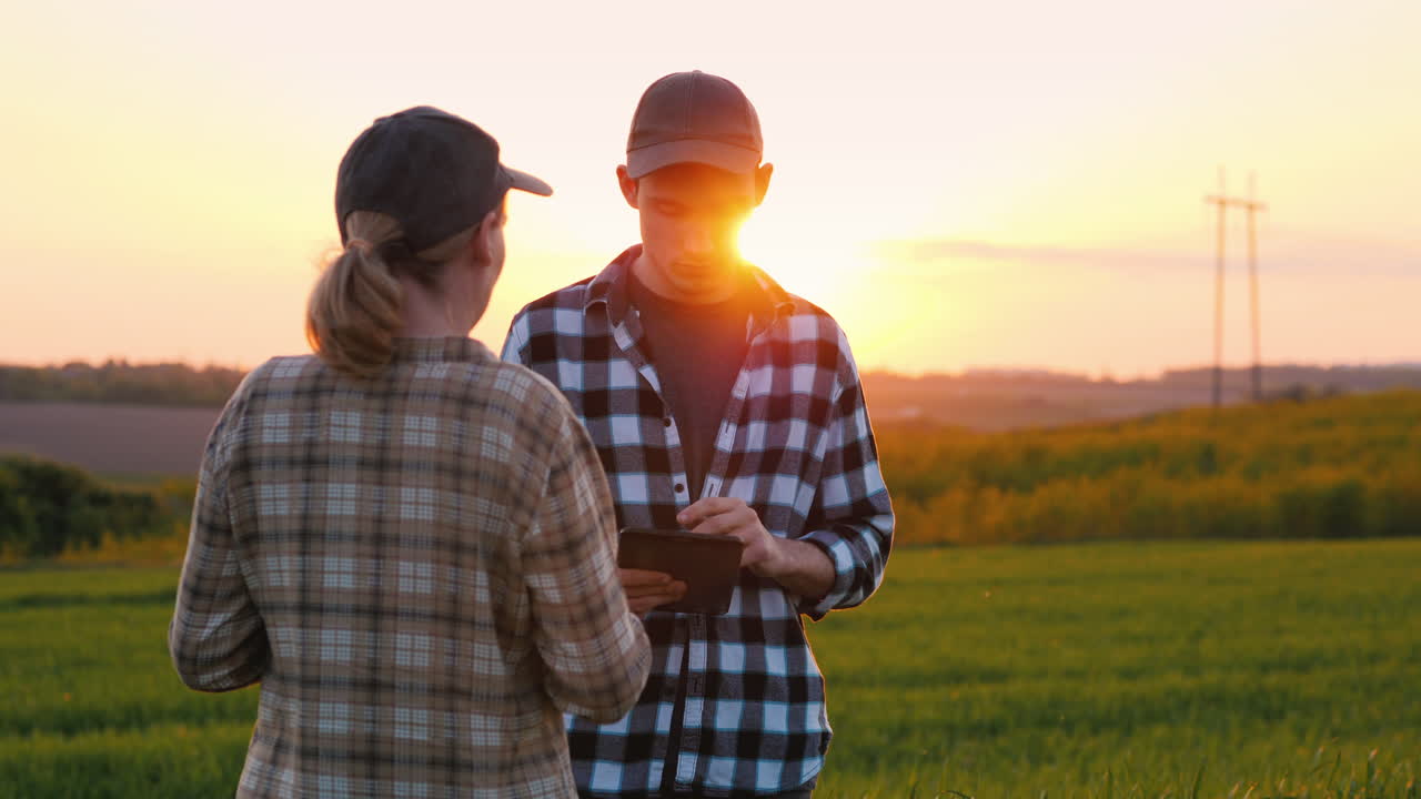 남자와 여자 농부는 일몰에 들판에서 일하며 태블릿을 사용한다 1