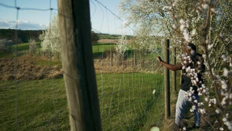 granjero negro pensando como partículas de flores girar | árboles blancos en flor en orquídea de manzana, tierras de cultivo en alemania, europa, 4k