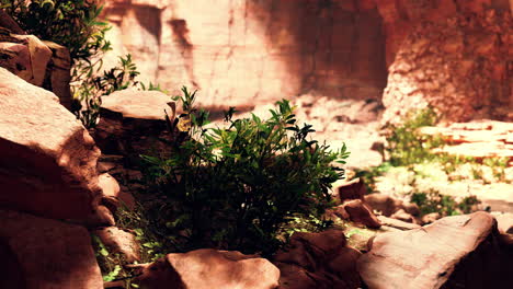 View-from-cave-to-the-light