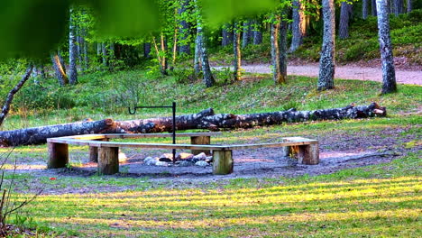 wooden benches circle firepit in forest clearing in sietiņiezis, latvia