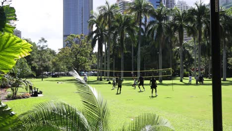 people enjoying a leisurely walk in the park