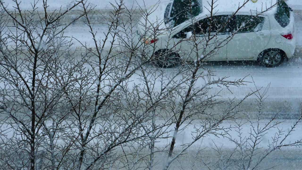 눈길에 벌거벗은 잎이 없는 나뭇가지 뒤로 지나가는 슬로우 모션 자동차
