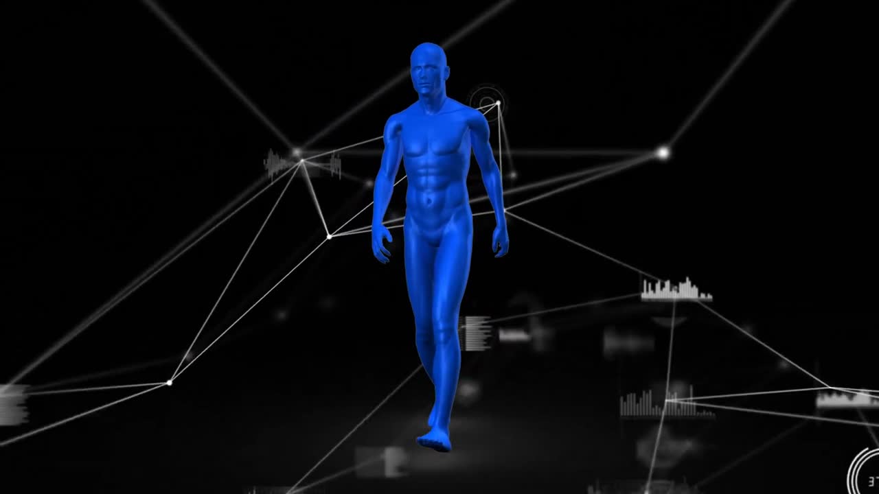 animación de la red de conexiones y procesamiento de datos sobre el modelo del cuerpo humano