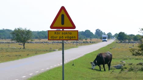 Advertencia-Para-Animales-Cerca-De-La-Señal-De-Tráfico