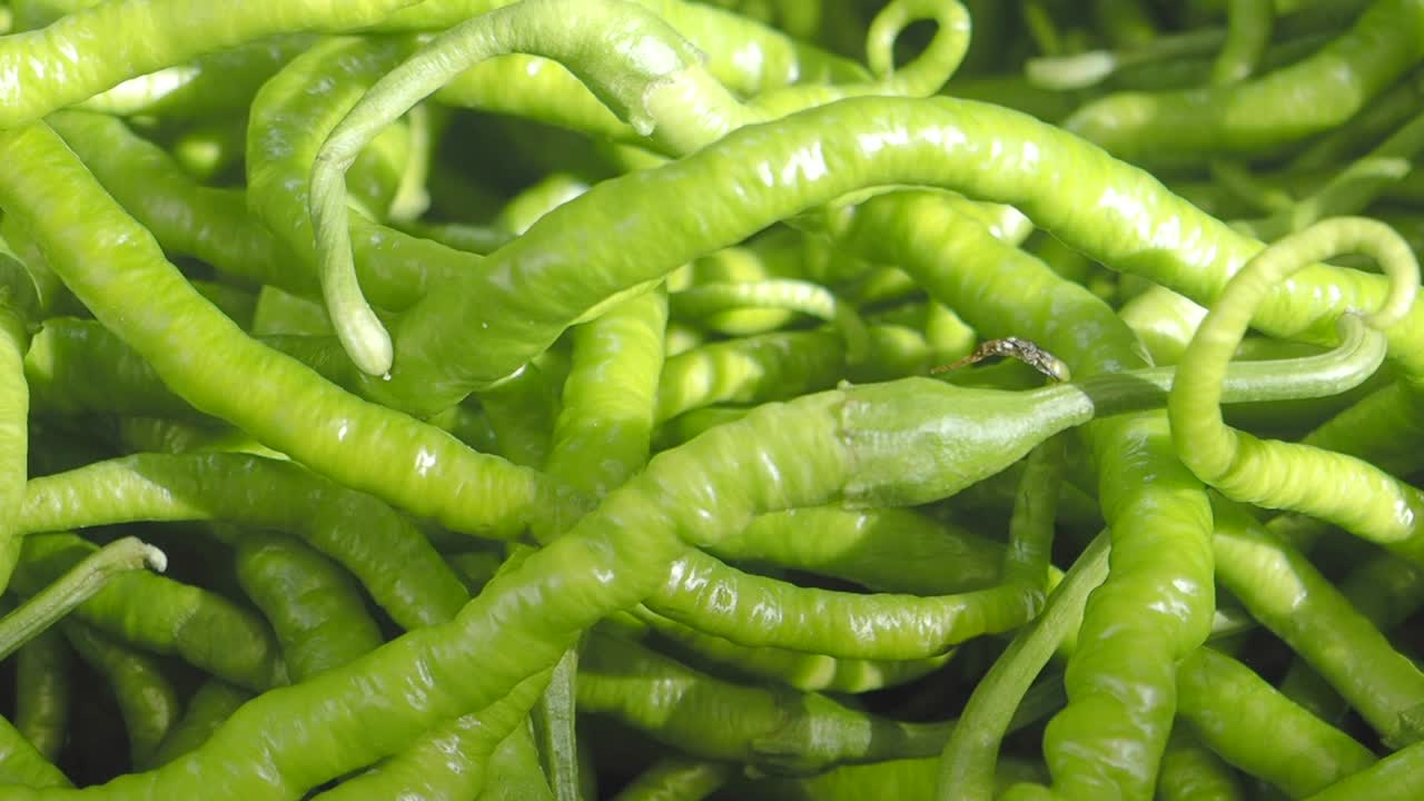 신선한 녹색 칠리 고추 한 어리