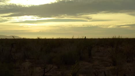 Sunset-over-vast-dry-Baja-California-desert-with-golden-sky,-drone-dolly-riser