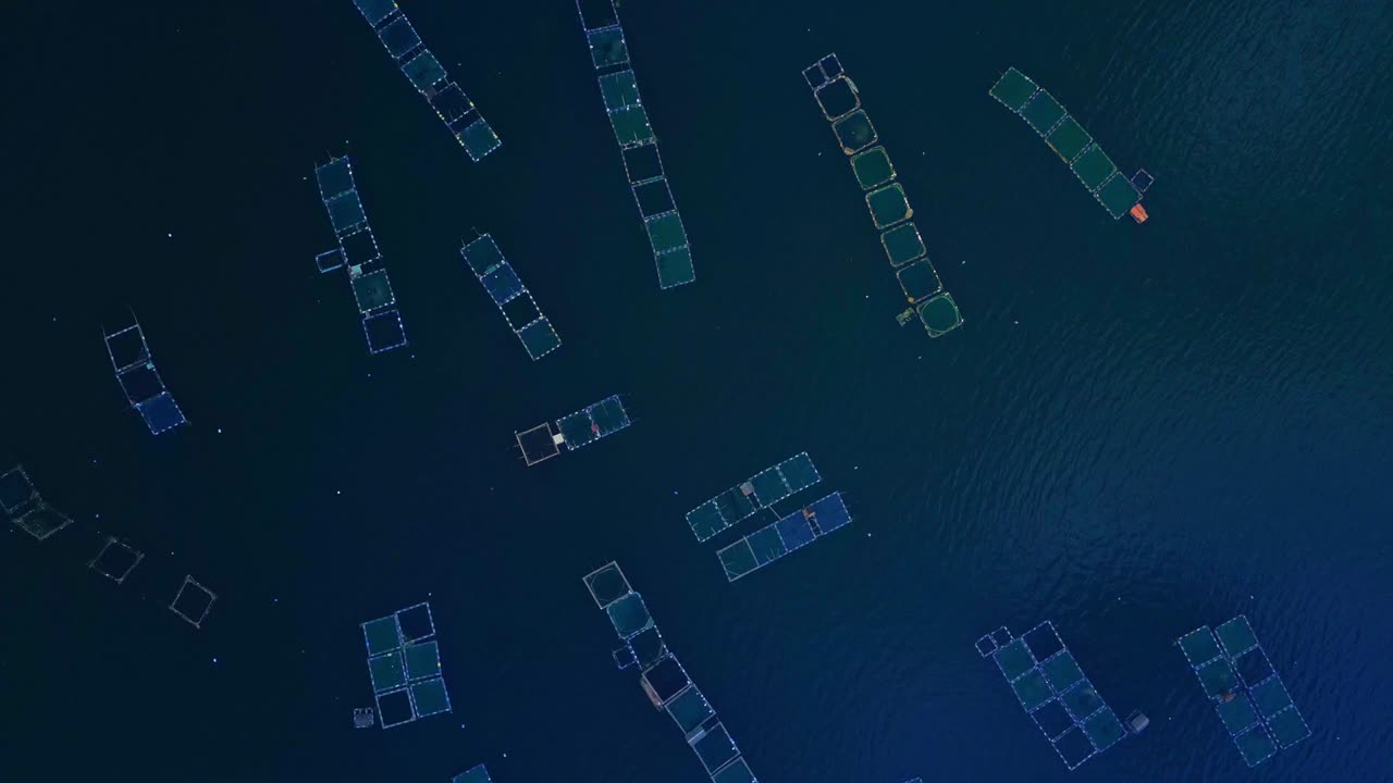 A top-view aerial of square aquaculture nets used by fishermen floating on Taal Lake in Talisay, Batangas, Philippines