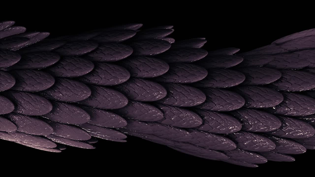 Close up of purple dragon scales