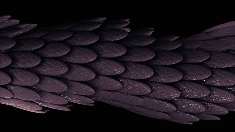 close up of purple dragon scales