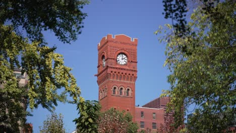 clocktower in chicago viewed through trees from public park printers row south loop