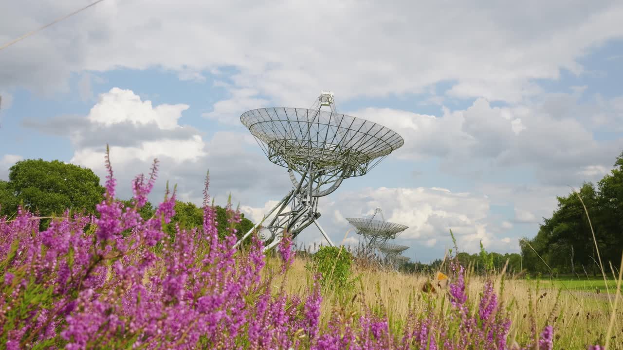 radio telescopio en un campo con flores púrpuras