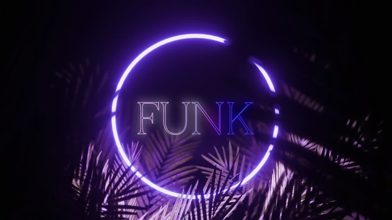 Animation of funk text and hexagon in blue neon, with palm leaves on black background