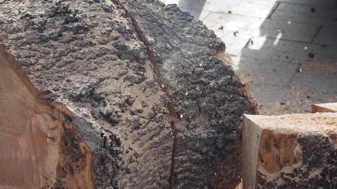 나무 줄기 가 어지고 있는 모습