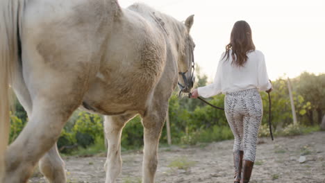 woman walking with horse