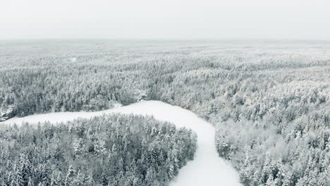 aerial, drone shot, towards a river turn, on haukkalampi pond, surrounded by snow, covered trees and endless, winter forest, on a overcast day, in nuuksio national park, in finland